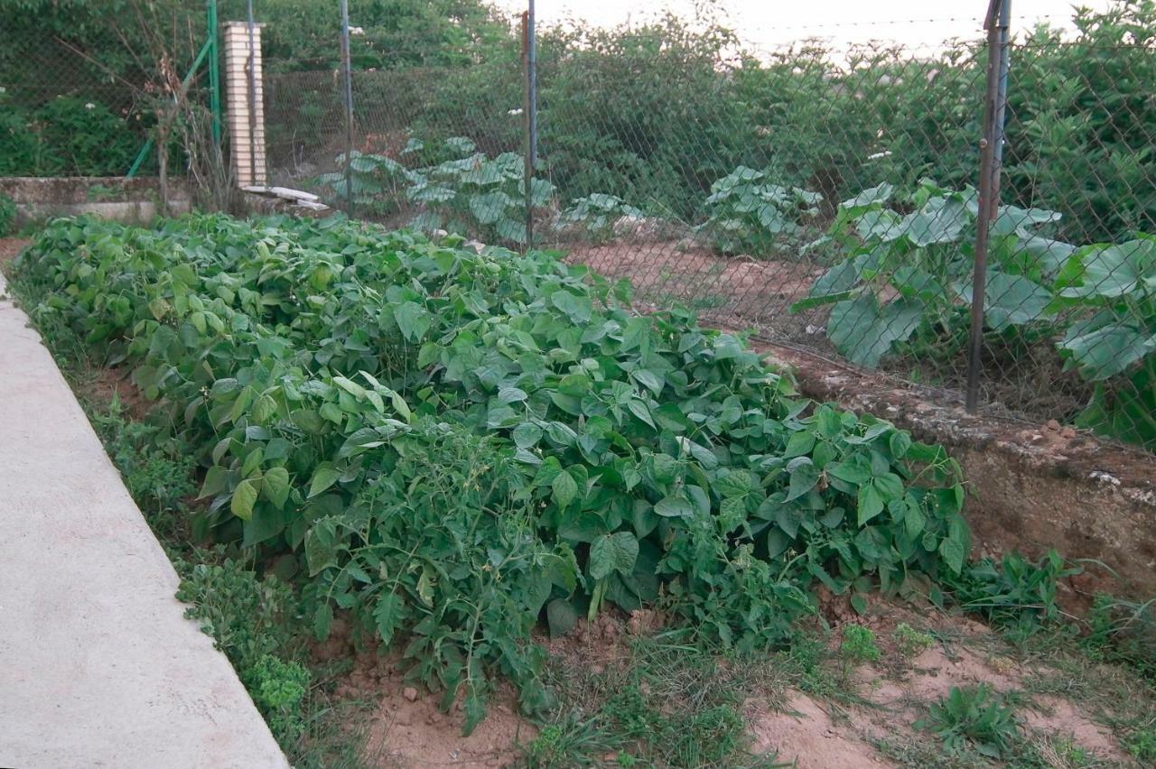 Willa El Jardin De Manuela Santibanez del Val Zewnętrze zdjęcie