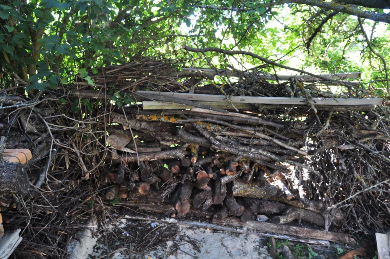 Willa El Jardin De Manuela Santibanez del Val Zewnętrze zdjęcie