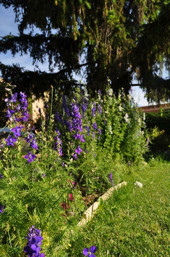 Willa El Jardin De Manuela Santibanez del Val Zewnętrze zdjęcie